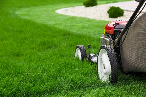Grass Cutting Service in Lubbock