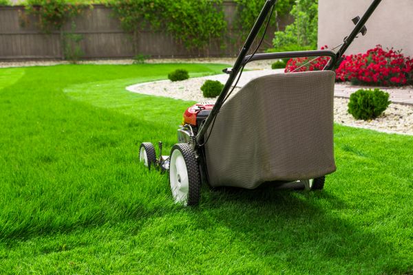 Home Yard Maintenance in Lubbock