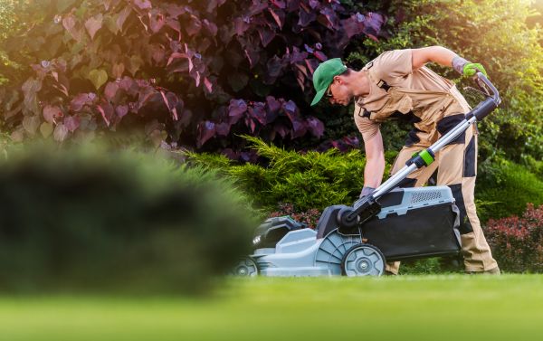 Lawn Care And Maintenance in Lubbock