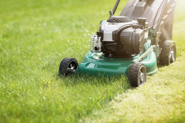 Cost of Yard Cutting in Lubbock