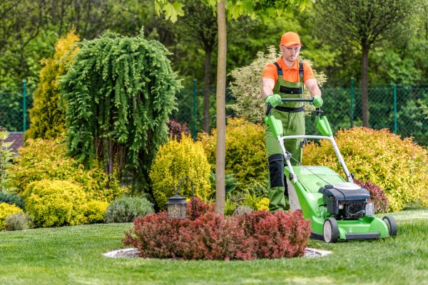 Cost of Yard Service in Lubbock