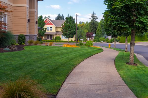 Cost of Home Lawn Maintenance in Lubbock