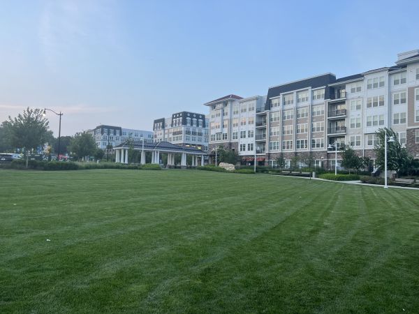 Cost of Urban Lawn Care in Lubbock