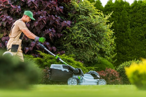 Cost of Lawn Management in Lubbock