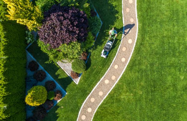 Cost of Mowing And Landscaping in Lubbock