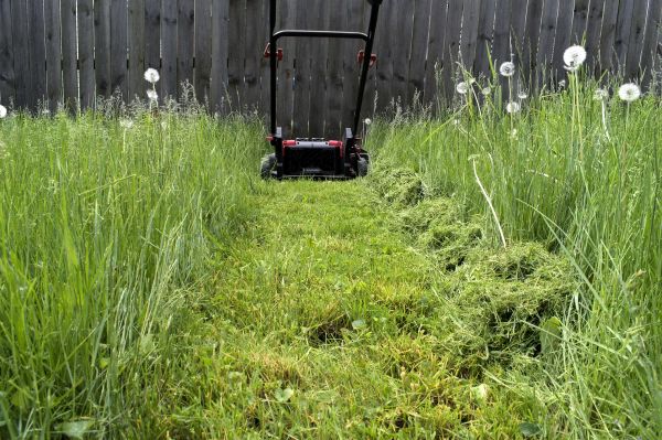 Cost of High Grass Mowing in Lubbock