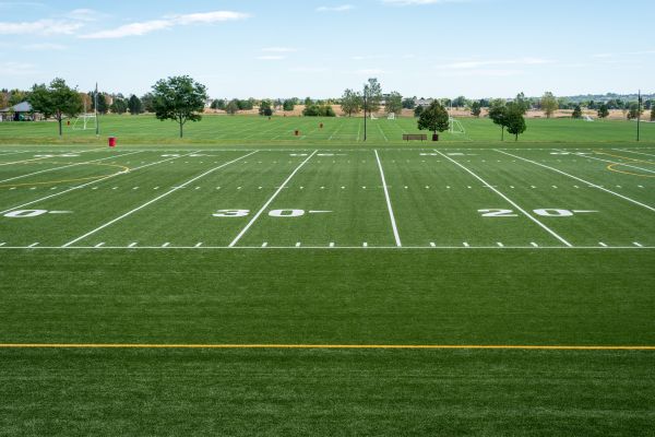 Cost of Groundskeeping Service in Lubbock