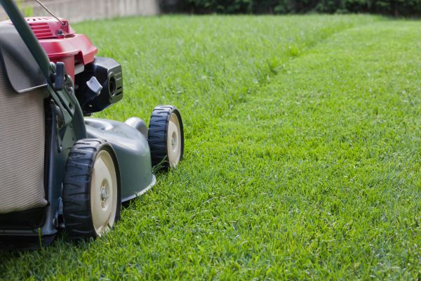 Cost of Summer Lawn Care in Lubbock