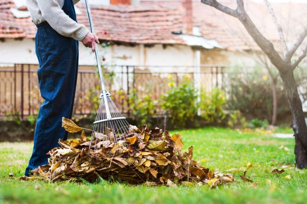 Routine Lawn Maintenance in Lubbock