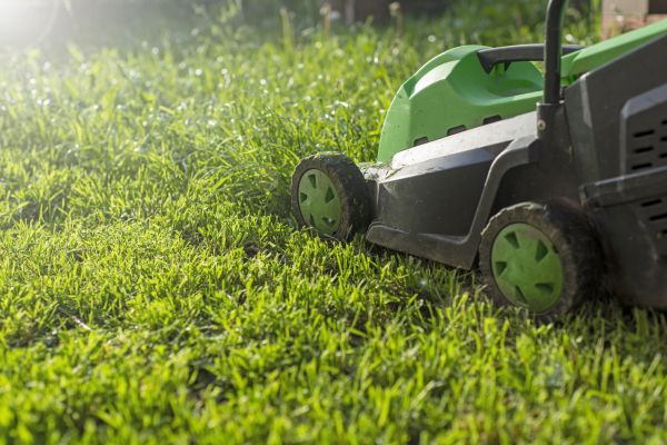 Cost of Lot Mowing in Lubbock