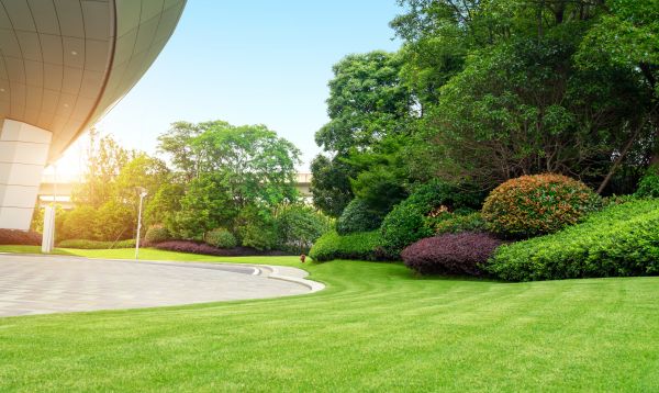 Cost of Business Groundskeeping in Lubbock