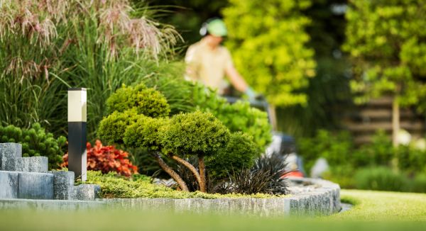 Cost of Residential Yard Maintenance in Lubbock