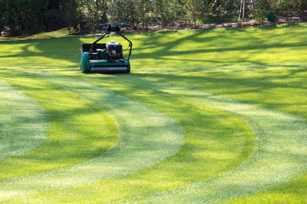 Cost of Business Lawn Mowing in Lubbock