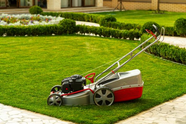 Cost of Business Grass Cutting in Lubbock