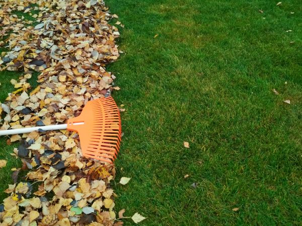 Cost of Fall Lawn Care in Lubbock