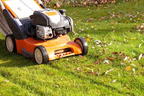 Cost of Fall Mowing in Lubbock