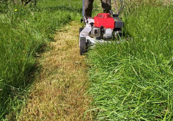 Cost of Leaf Mowing in Lubbock