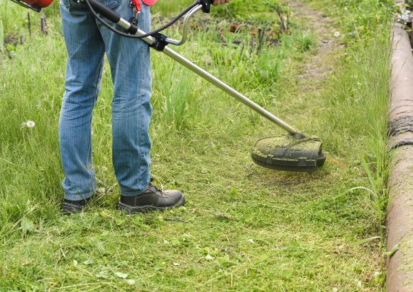Cost of Tall Grass Trimming in Lubbock