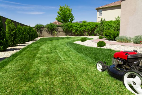 Cost of Residential Lawn Mowing in Lubbock