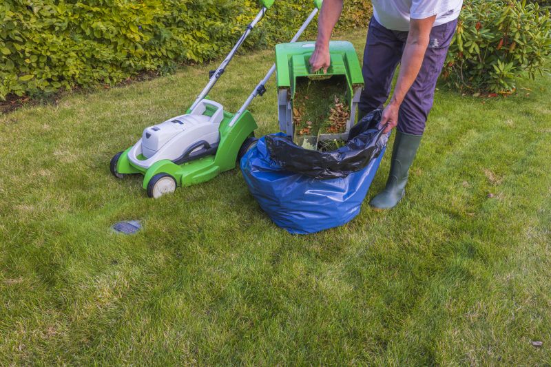 Lawn Care And Maintenance